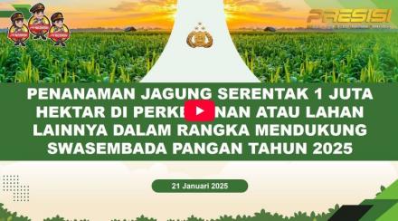 LIVE || Pamong Wukirsari Menyaksikan Live Penanaman Jagung Serentak di Kapanewon Imogiri (21-1-2025)